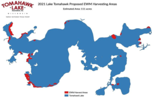 Eurasian Water Milfoil (EWM) Lake Tomahawk map